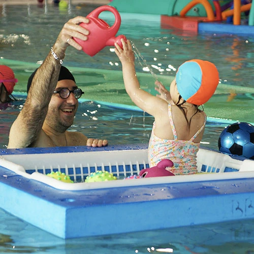 Bébés Dauphins Toulousains