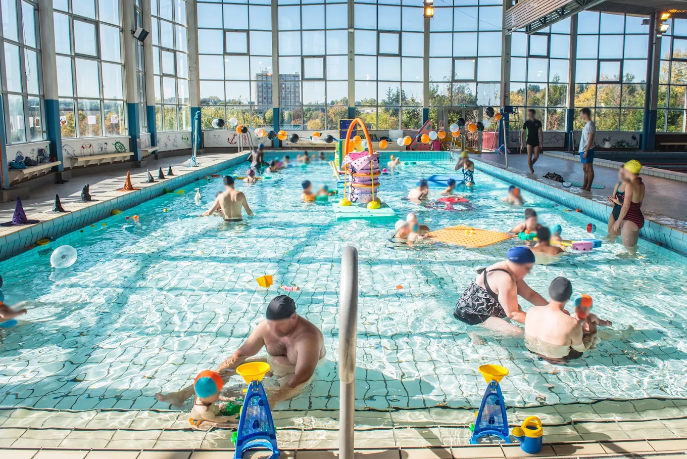 Association Bébés Dauphins